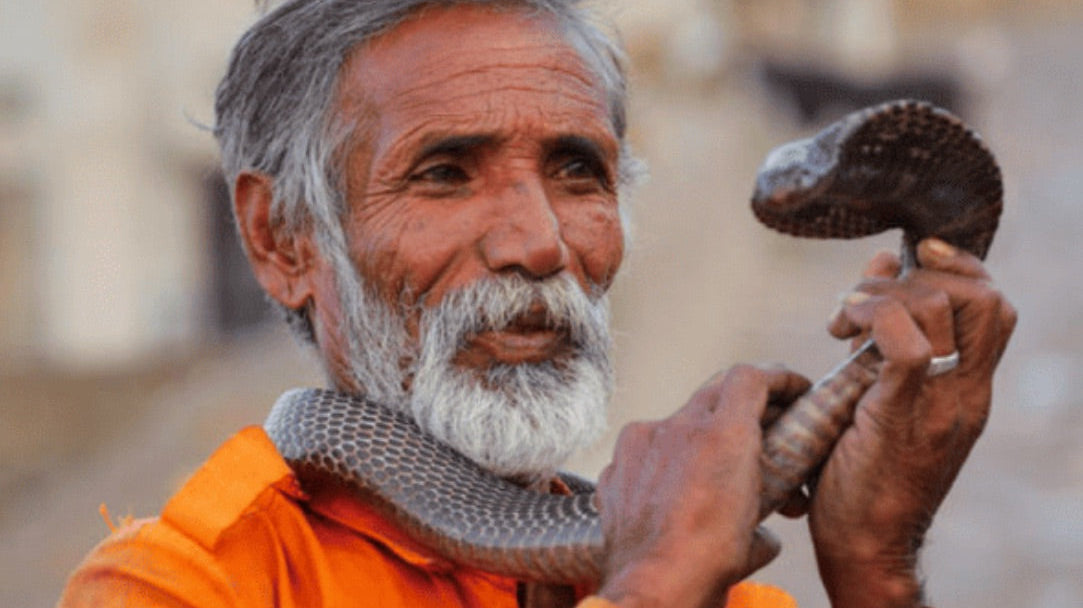 The Charming Snake Charmer