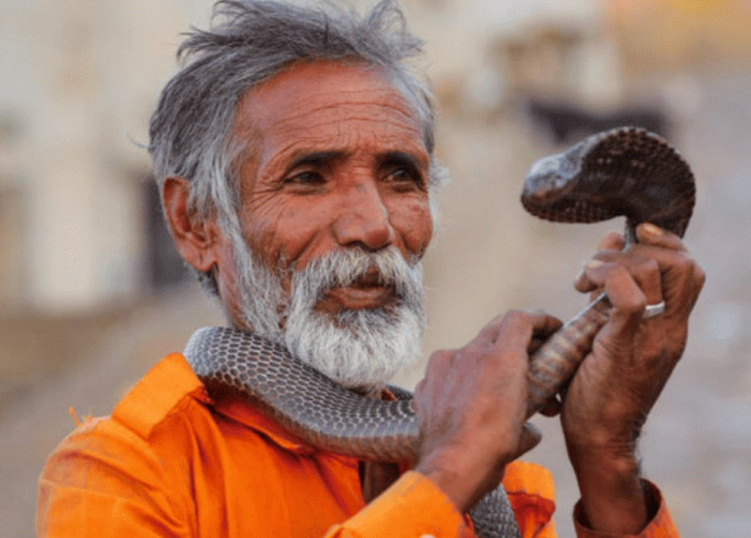The Charming Snake Charmer